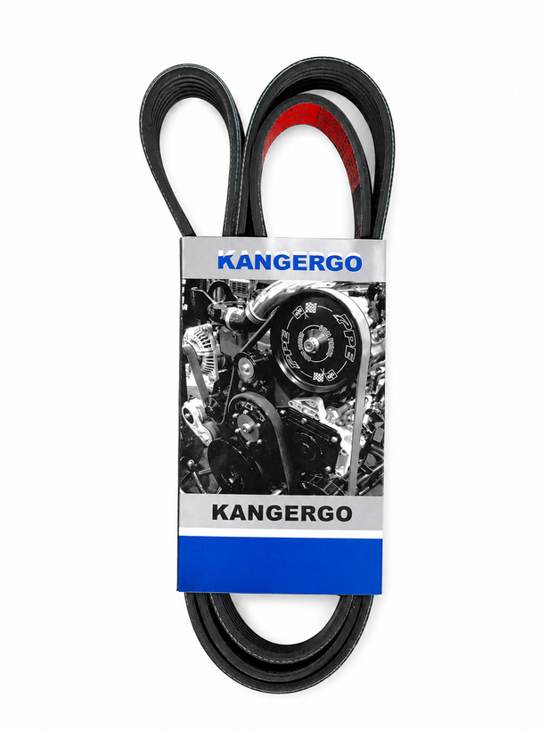 تسمه دینام زانتیا | Kangergo